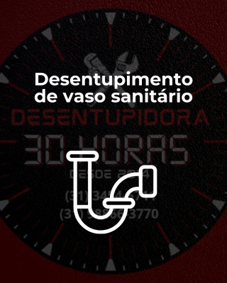 Imagem com descrição de serviço prestado pela empresa: desentupimento de vaso sanitário