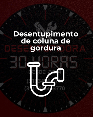 Imagem com descrição de serviço prestado pela empresa: desentupimento de coluna de gordura